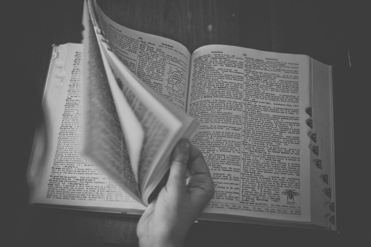 dictionary, book, reading, gray book, gray books, gray reading, dictionary, dictionary, dictionary, dictionary, dictionary